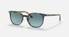 Ray-Ban Elliot Yellow & Blue Havana