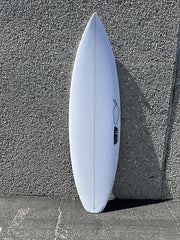 Chilli SHORTIE SQUASH 5'11"