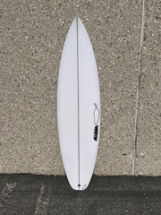 Chilli SHORTIE SQUASH 5'11"