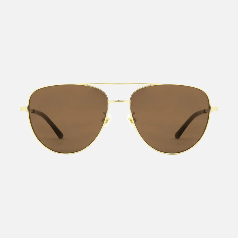 Carve Solana Gloss Gold Metal Brown Injected Polarized Lens
