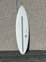 Chilli Rarest Bird TT 5'8"